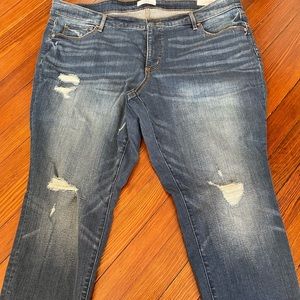 Ann Taylor loft plus size denim